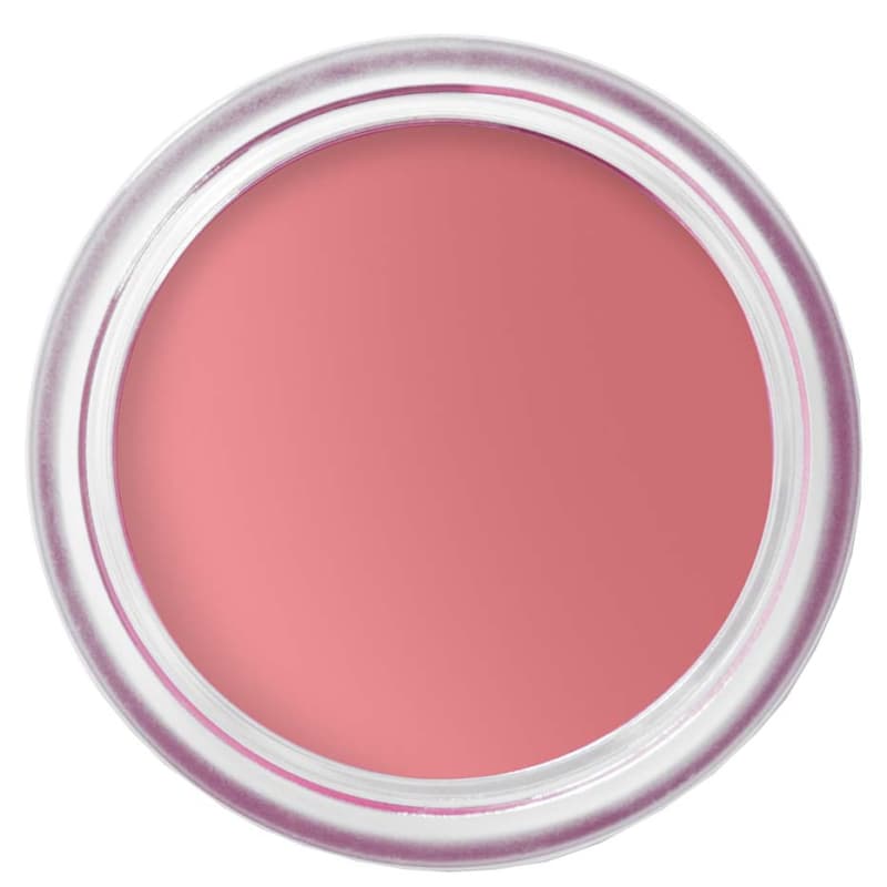 Bobbi Brown Pot Rouge Velvet Matte Tea Rose 1