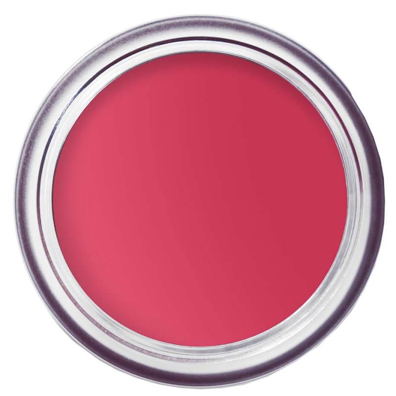 Bobbi Brown Pot Rouge Velvet Matte Guava Punsch 41