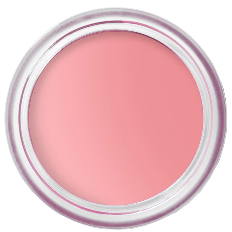 Bobbi Brown Pot Rouge Velvet Matte Petal Pink 4