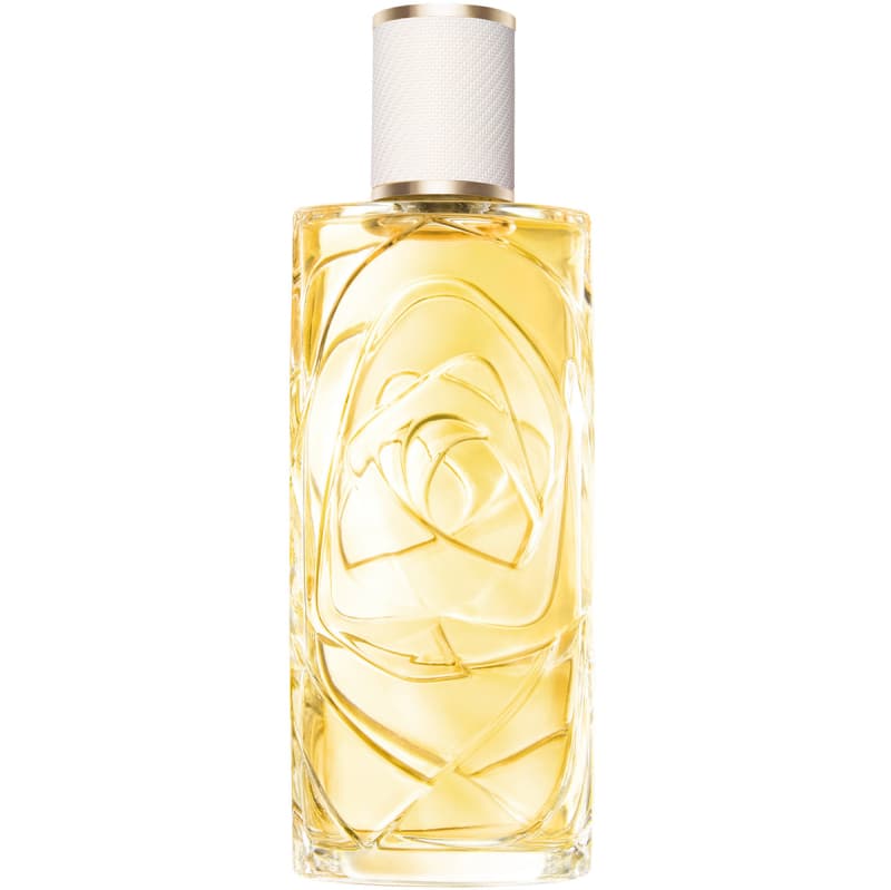 Lancôme Les Ô Ô ZENITH EdT (100 ml)